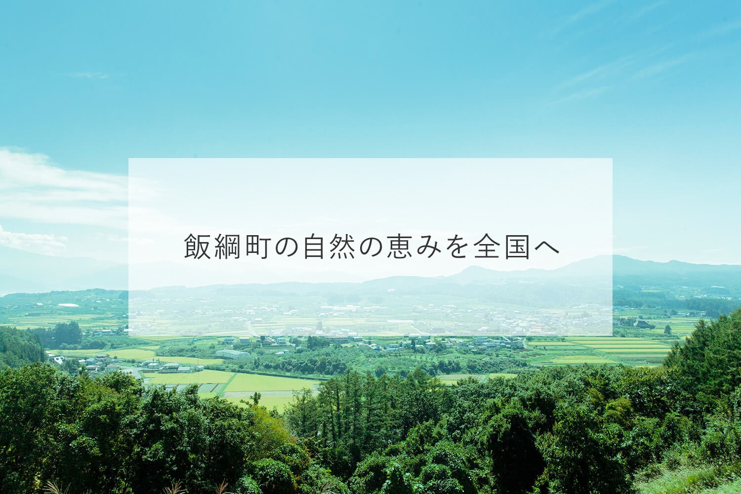 ふるさと納税 長野県 飯綱町 シードル FARM TOYA シードル 750ｍL×2本